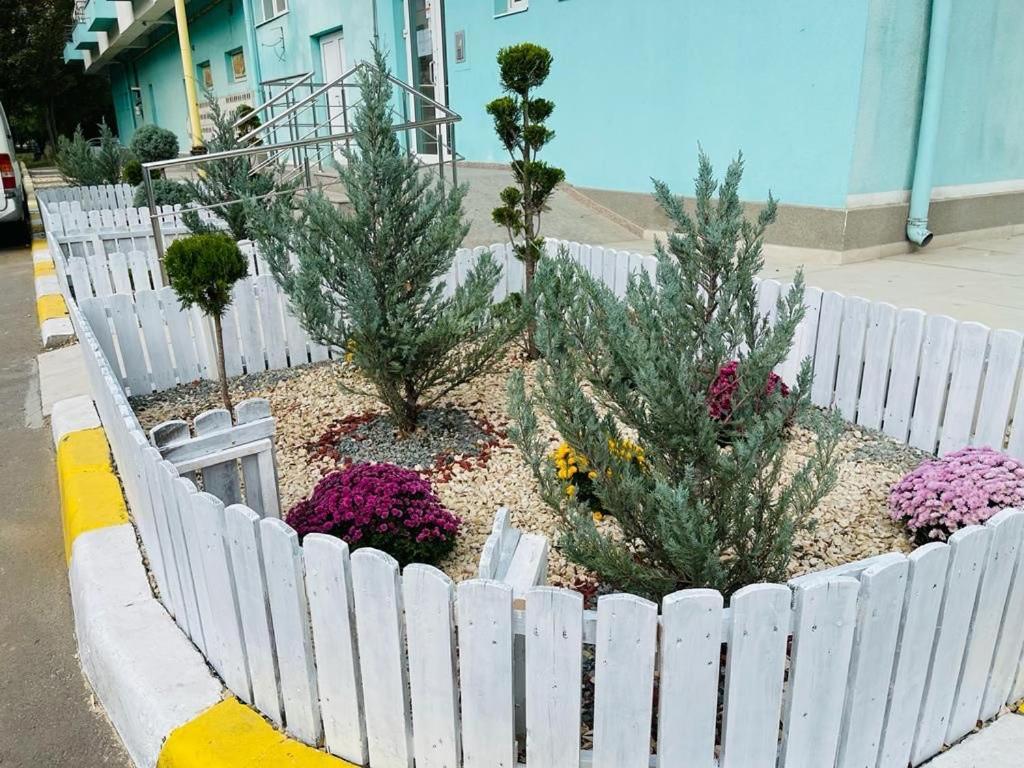 Maria Summer Apartaments Mamaia Kültér fotó